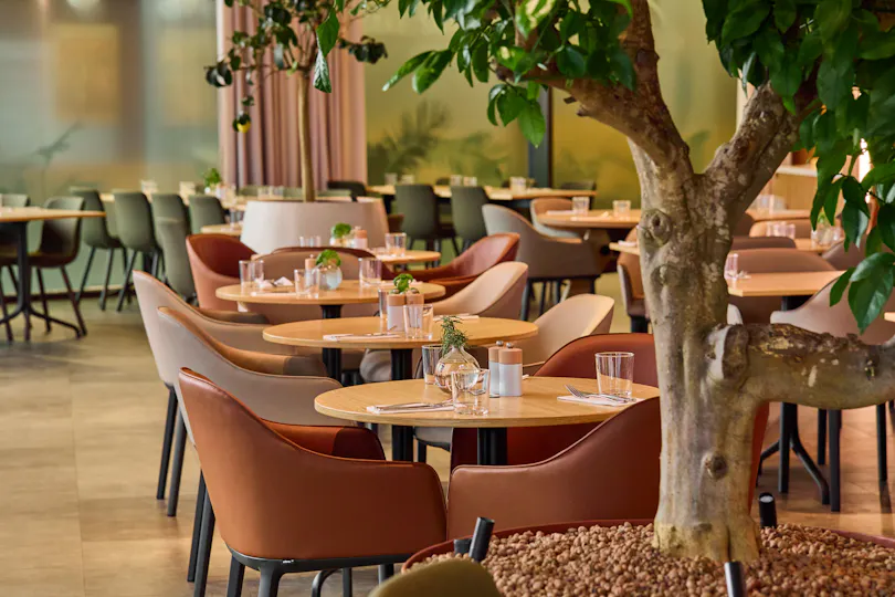 The Orangery TCR