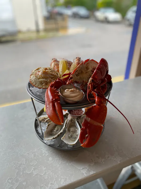 The Whistling Oyster