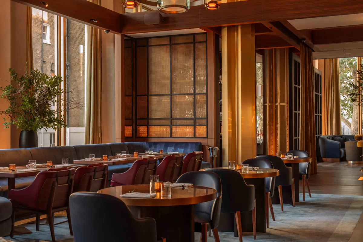 Tobi Masa at The Chancery Rosewood