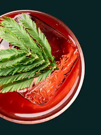 Whiskey & Seaweed by Clare Smyth