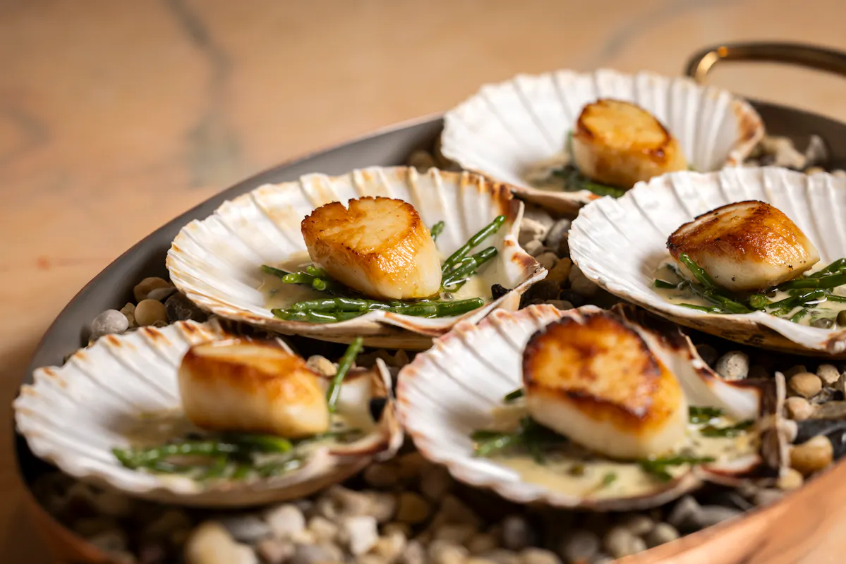 Rosi at The Beaumont Mayfair