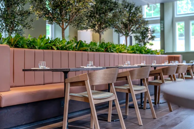 Canopy Kitchen & Courtyard