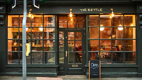 The Nettle