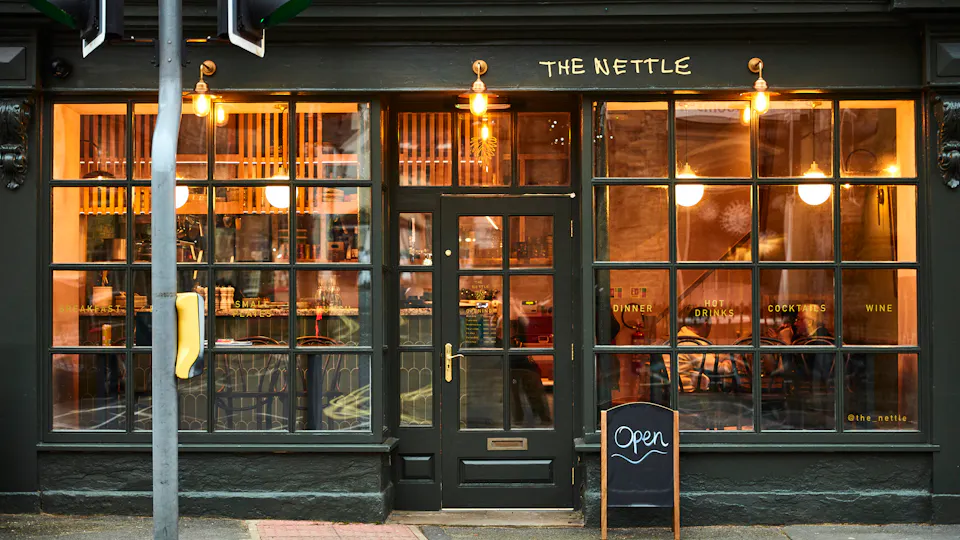 The Nettle