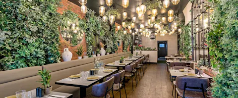 Grilandia Mayfair