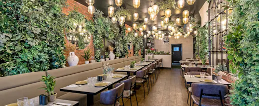 Grilandia Mayfair