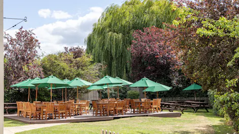 The Harps Inn