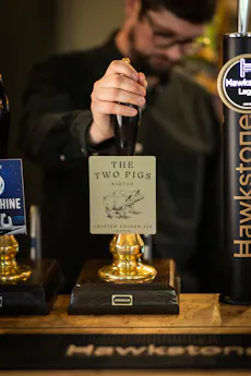 The Two Pigs