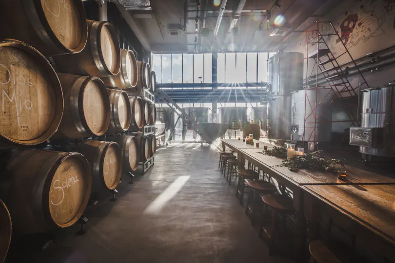 Vagabond Urban Winery