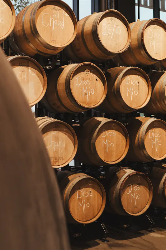Vagabond Urban Winery