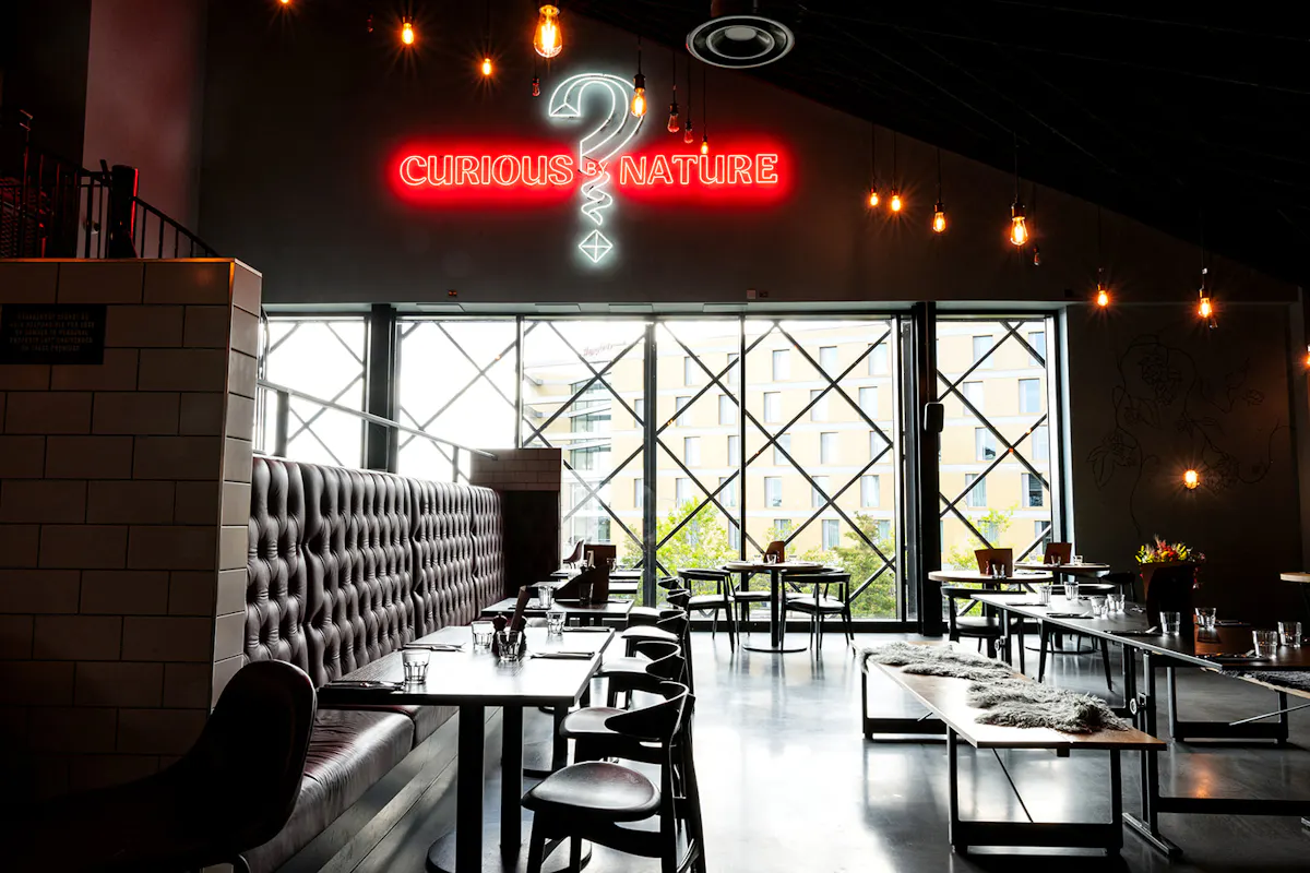 Curious Taproom