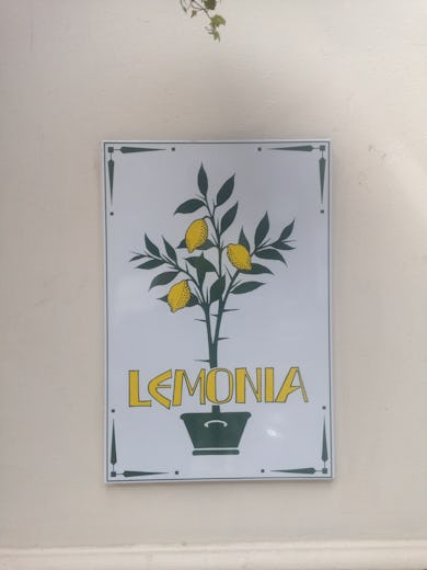 Lemonia