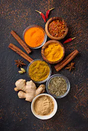 Namastey India