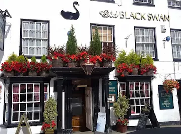 The Old Black Swan