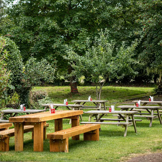 The Plough