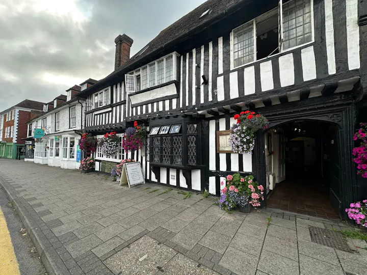 The Lemon Tree