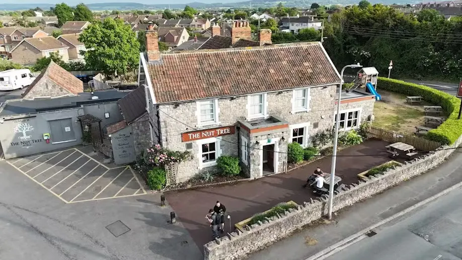 The Nut Tree