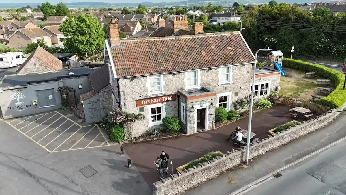 The Nut Tree