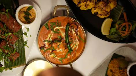 Indian Panorama