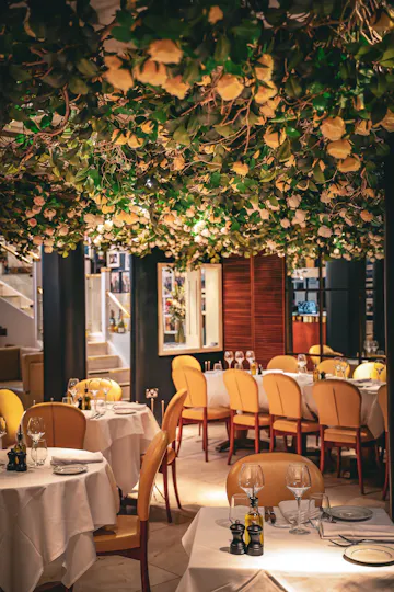 San Carlo