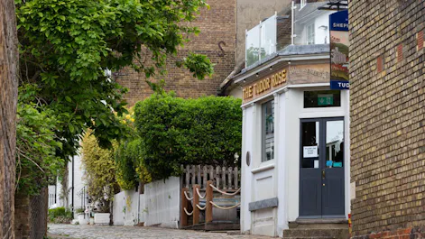 The Tudor Rose