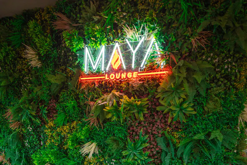 Maya Lounge Wood Green