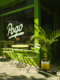 Pogo