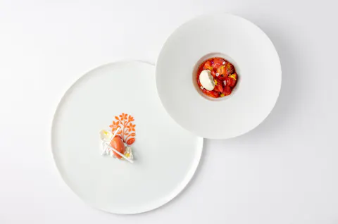 Orrery by Pierre Minotti