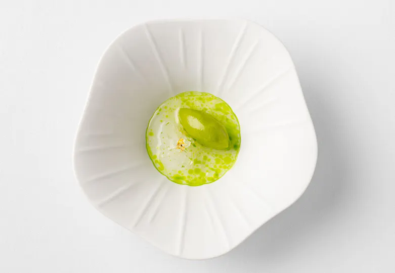 Orrery by Pierre Minotti