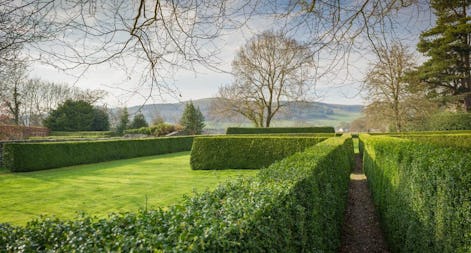 Tyddyn Llan