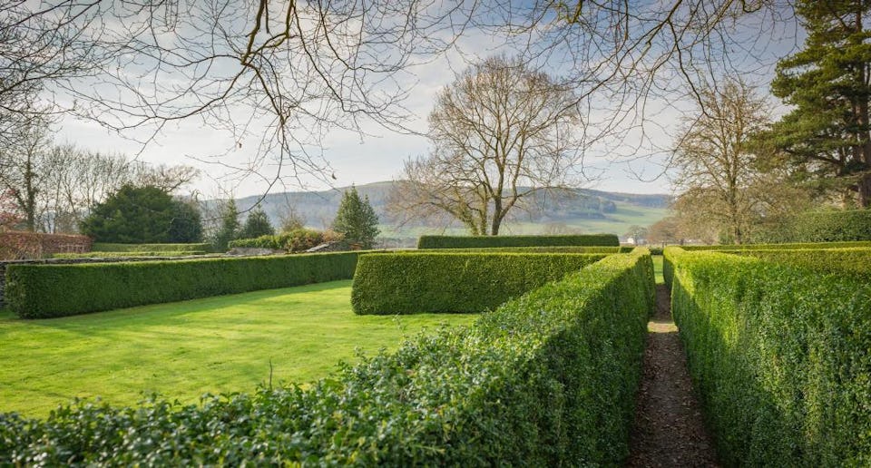 Tyddyn Llan