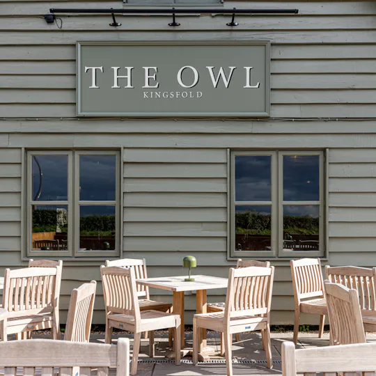 The Owl