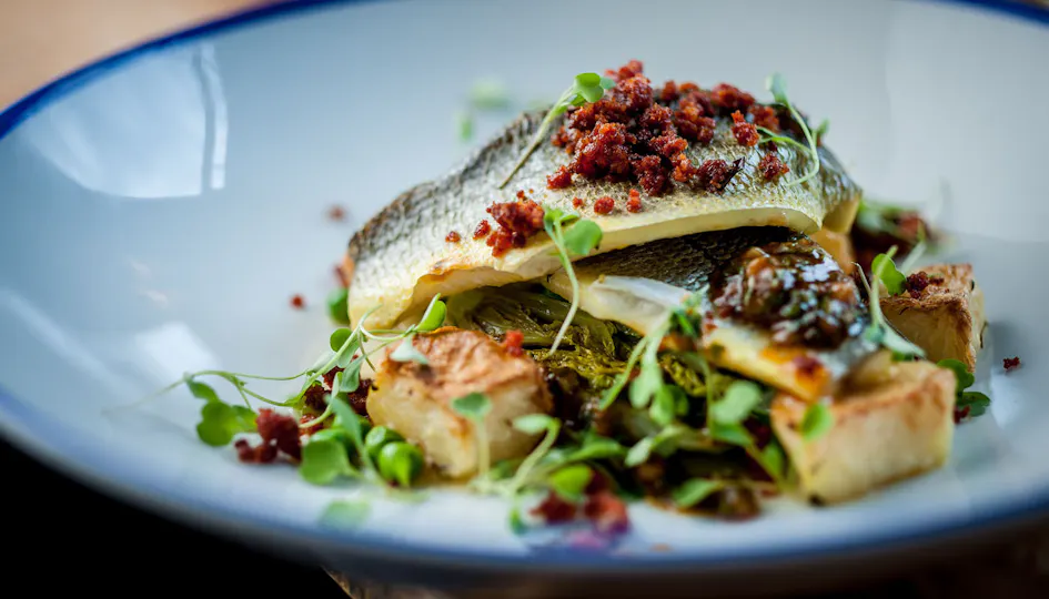 The Tommyfield