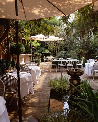 The Conservatory at Number Sixteen Hotel