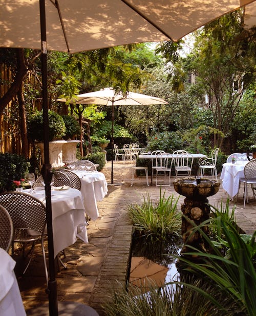 The Conservatory at Number Sixteen Hotel