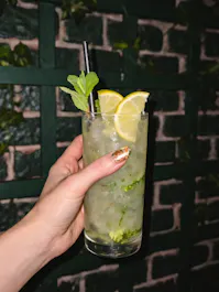 Twisted Lime