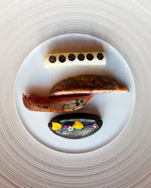 Sunlaws Restaurant at SCHLOSS Roxburghe