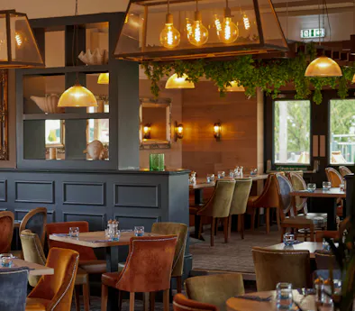 Ego Sutton-In-Ashfield