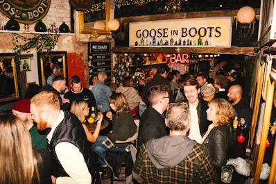 Goose in Boots
