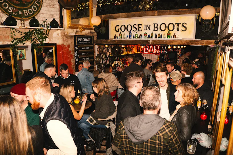 Goose in Boots