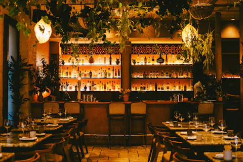 Maya Marylebone