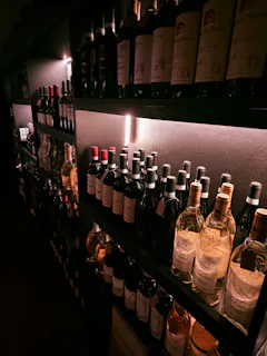 UNDICI