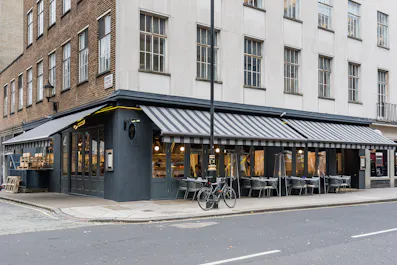 Mielo Restaurant Marylebone
