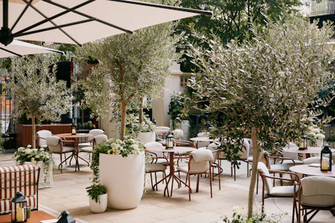 Sale e Pepe Terraza