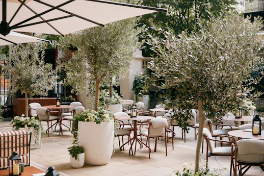 Sale e Pepe Terraza