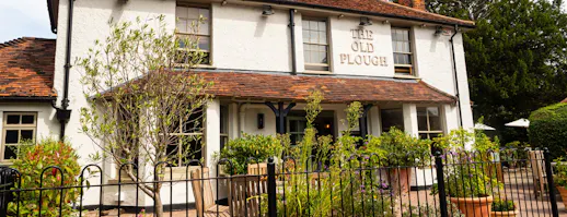 The Old Plough
