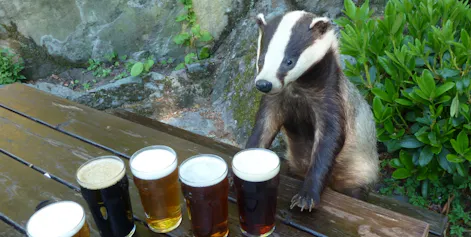 The Glen Rothay Hotel and Badger Bar