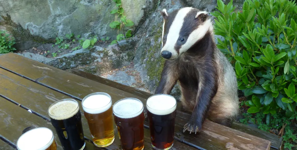 The Glen Rothay Hotel and Badger Bar