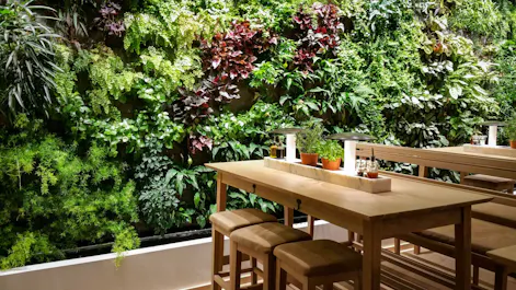 The Garden Bar & Restaurant