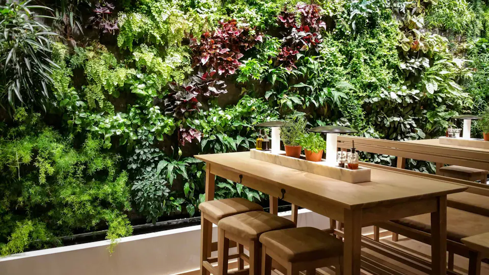 The Garden Bar & Restaurant